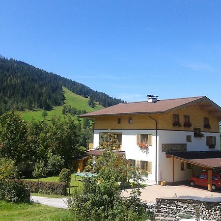 Fruehstueckspension Wagrain - Viktoria Flasch Exterior foto