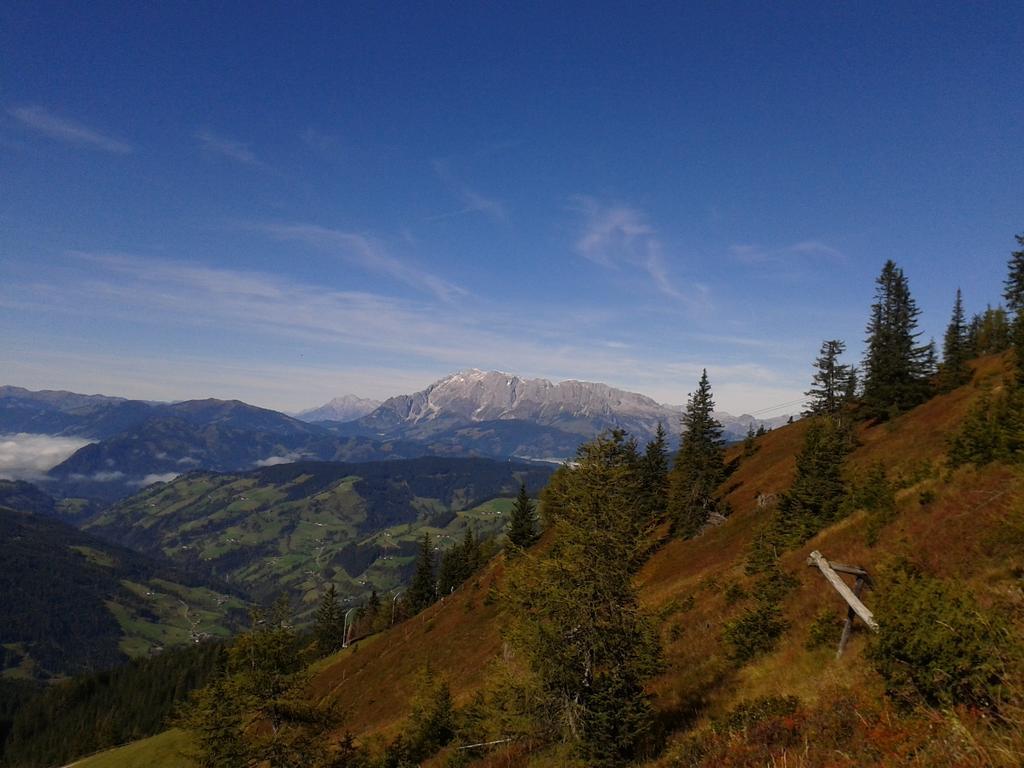 Fruehstueckspension Wagrain - Viktoria Flasch Quarto foto